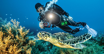 The Essential Guide to Diving Torches