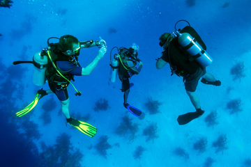 Lifespan of Your Diving Batteries